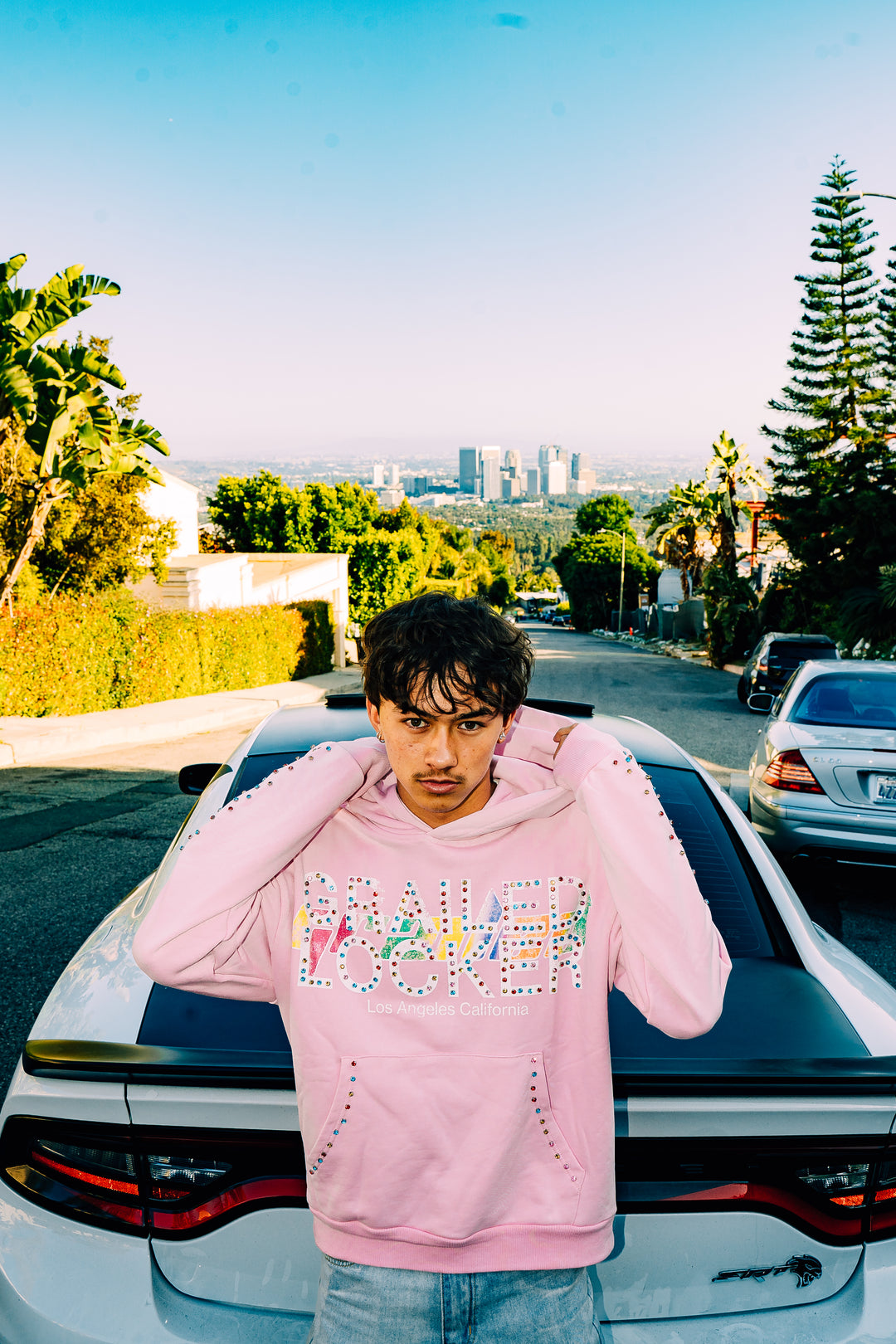 The Diamond Grail Hoodie — Black & Pink Editions