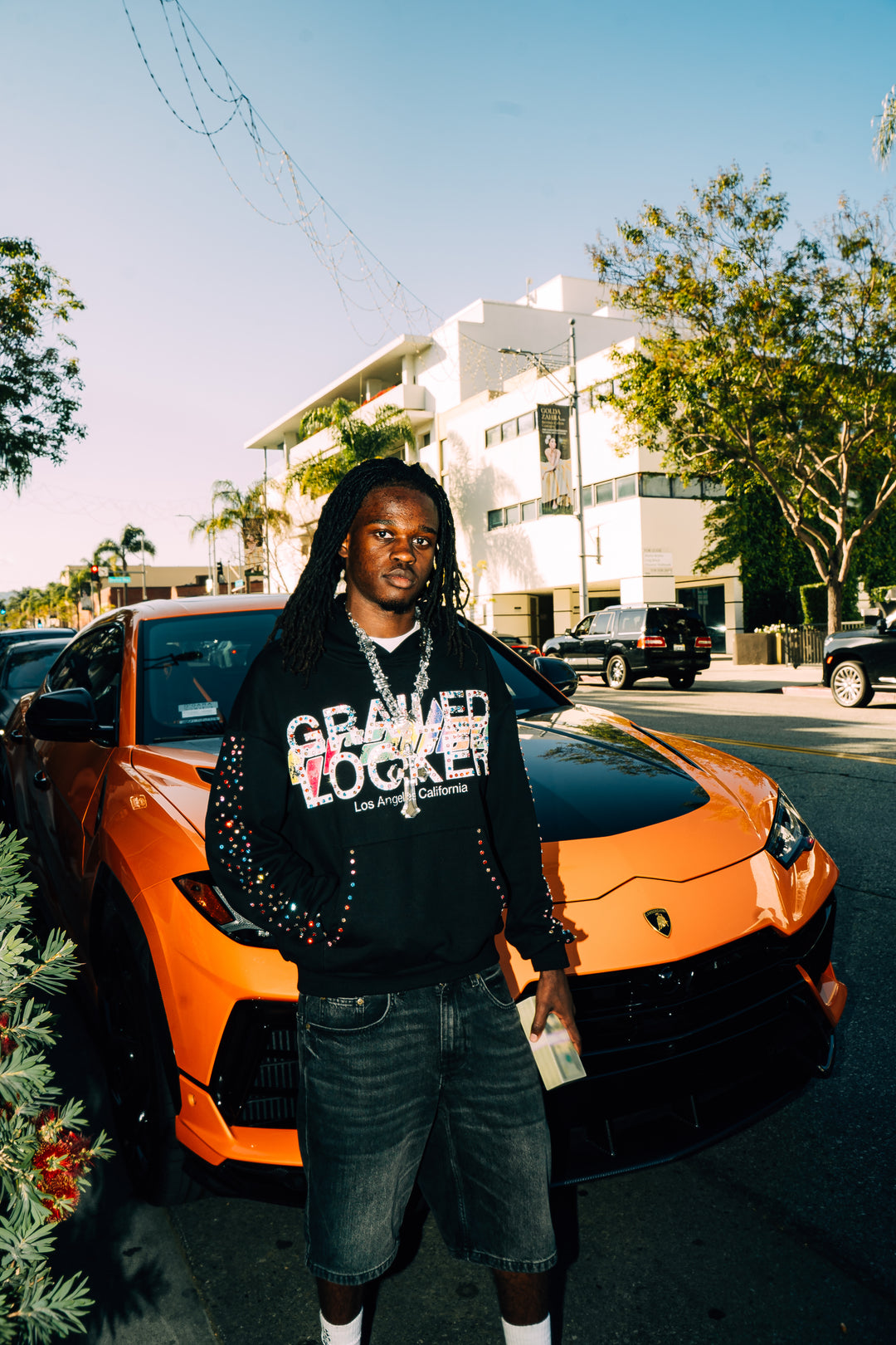 The Diamond Grail Hoodie — Black & Pink Editions